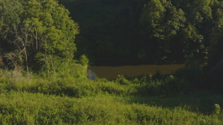 Unrestricted Land for Sale Greene County, Tennessee - image 5
