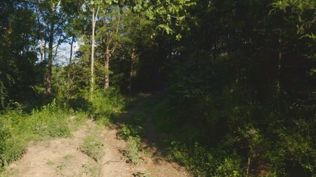 Unrestricted Land for Sale Greene County, Tennessee - image 13