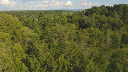 Unrestricted Land for Sale Greene County, Tennessee - image 14