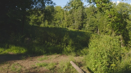 Unrestricted Land for Sale Greene County, Tennessee - image 10