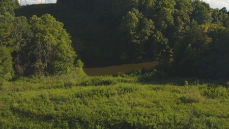 Unrestricted Land for Sale Greene County, Tennessee - image 6