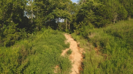 Unrestricted Land for Sale Greene County, Tennessee - image 12