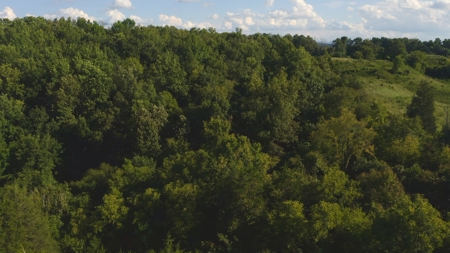 Unrestricted Land for Sale Greene County, Tennessee - image 21