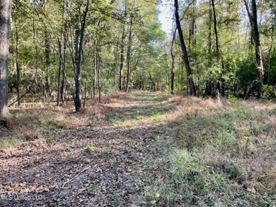 8.3 Acres Residential Land/Lot for Sale in Clinton, MS - image 5