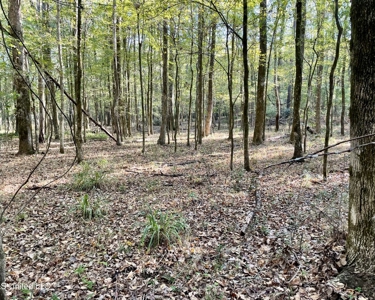 8.3 Acres Residential Land/Lot for Sale in Clinton, MS - image 3
