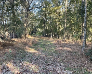 8.3 Acres Residential Land/Lot for Sale in Clinton, MS - image 6