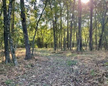 8.3 Acres Residential Land/Lot for Sale in Clinton, MS - image 8
