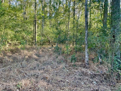 8.3 Acres Residential Land/Lot for Sale in Clinton, MS - image 7