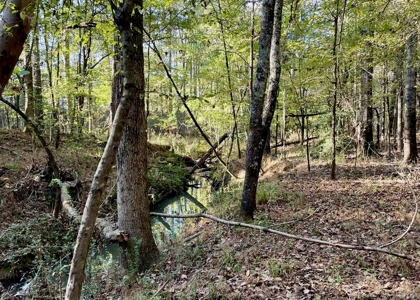 8.3 Acres Residential Land/Lot for Sale in Clinton, MS - image 2