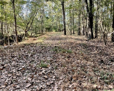 8.3 Acres Residential Land/Lot for Sale in Clinton, MS - image 4