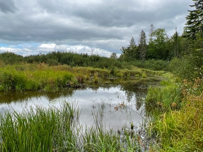Maine Off-Grid Camp - image 1