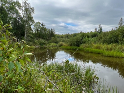 Maine Off-Grid Camp - image 6
