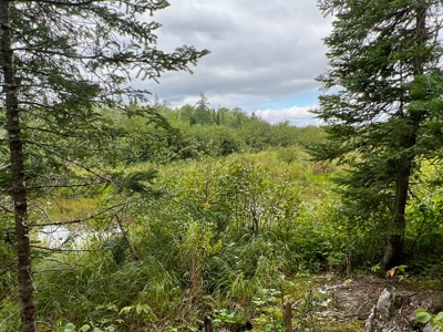 Maine Off-Grid Camp - image 8