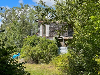 Maine Off-Grid Camp - image 3