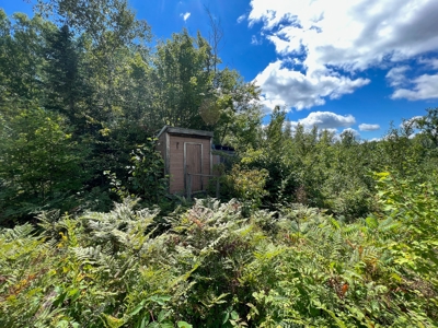 Maine Off-Grid Camp - image 7