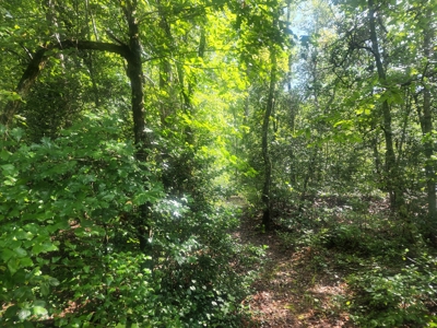 Land for Sale Easley SC, Corner Lot w/ Acreage, Pickens - image 30
