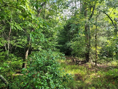 Land for Sale Easley SC, Corner Lot w/ Acreage, Pickens - image 34