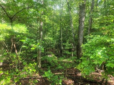 Land for Sale Easley SC, Corner Lot w/ Acreage, Pickens - image 29