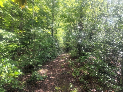 Land for Sale Easley SC, Corner Lot w/ Acreage, Pickens - image 26