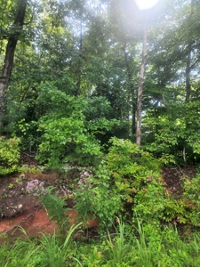 Land for Sale Easley SC, Corner Lot w/ Acreage, Pickens - image 21