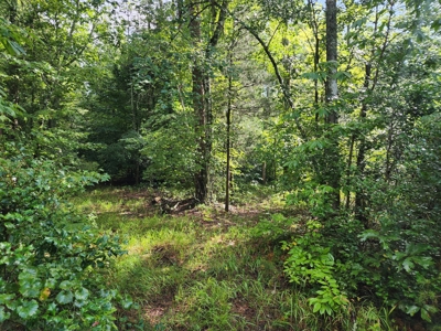 Land for Sale Easley SC, Corner Lot w/ Acreage, Pickens - image 11