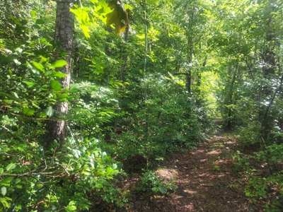 Land for Sale Easley SC, Corner Lot w/ Acreage, Pickens - image 7