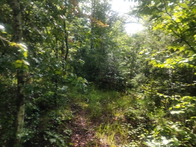 Land for Sale Easley SC, Corner Lot w/ Acreage, Pickens - image 31