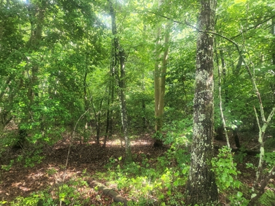 Land for Sale Easley SC, Corner Lot w/ Acreage, Pickens - image 22