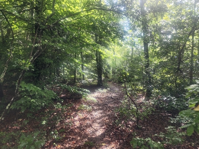 Land for Sale Easley SC, Corner Lot w/ Acreage, Pickens - image 23