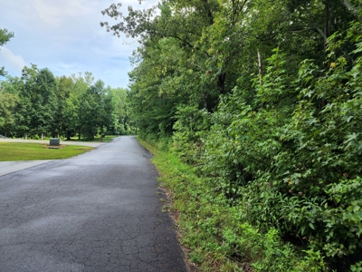 Land for Sale Easley SC, Corner Lot w/ Acreage, Pickens - image 15