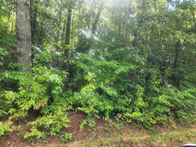 Land for Sale Easley SC, Corner Lot w/ Acreage, Pickens - image 2