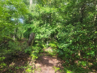 Land for Sale Easley SC, Corner Lot w/ Acreage, Pickens - image 8