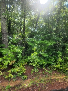 Land for Sale Easley SC, Corner Lot w/ Acreage, Pickens - image 20