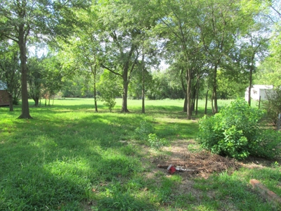 Updated Cottage Style Home Winnsboro Texas Wood County Tx - image 5