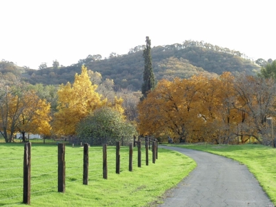 Vacaville, California Country Acreage and Ranch for Sale - image 3