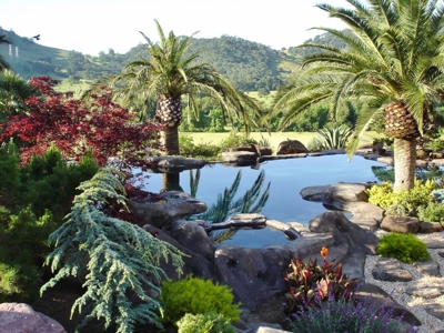 Vacaville, California Country Acreage and Ranch for Sale - image 19
