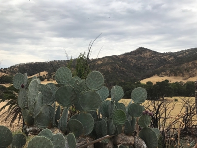 Vacaville, California Country Acreage and Ranch for Sale - image 16