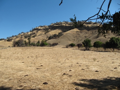 Vacaville, California Country Acreage and Ranch for Sale - image 10