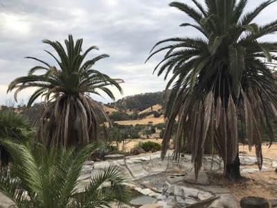Vacaville, California Country Acreage and Ranch for Sale - image 17