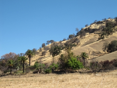 Vacaville, California Country Acreage and Ranch for Sale - image 7