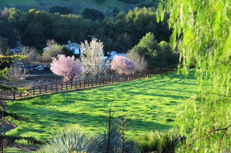 Vacaville, California Country Acreage and Ranch for Sale - image 4