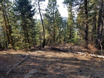 Remote Rural Experience In Northern, CA - image 16