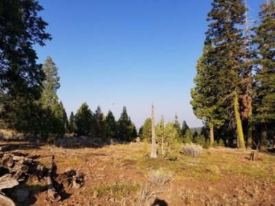 Remote Rural Experience In Northern, CA - image 3