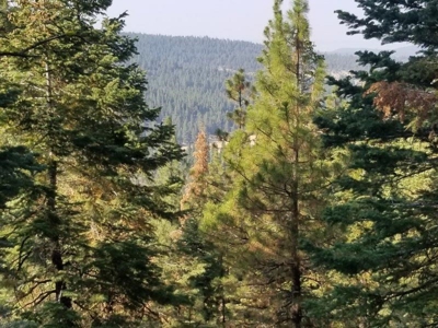 Remote Rural Experience In Northern, CA - image 8