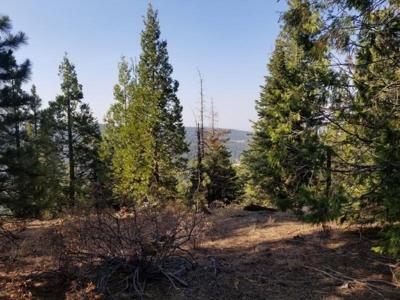 Remote Rural Experience In Northern, CA - image 7