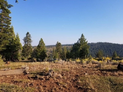Remote Rural Experience In Northern, CA - image 2
