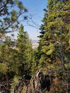 Remote Rural Experience In Northern, CA - image 14