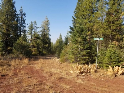Remote Rural Experience In Northern, CA - image 17