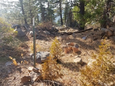Remote Rural Experience In Northern, CA - image 6