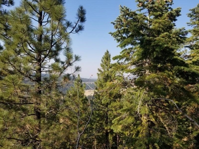 Remote Rural Experience In Northern, CA - image 13